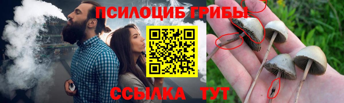 Псилоцибиновые грибы мухоморы Назрань